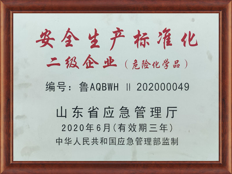 安全生產(chǎn)標(biāo)準(zhǔn)化二級企業(yè)