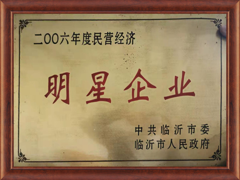 民營經(jīng)濟(jì)明星企業(yè)
